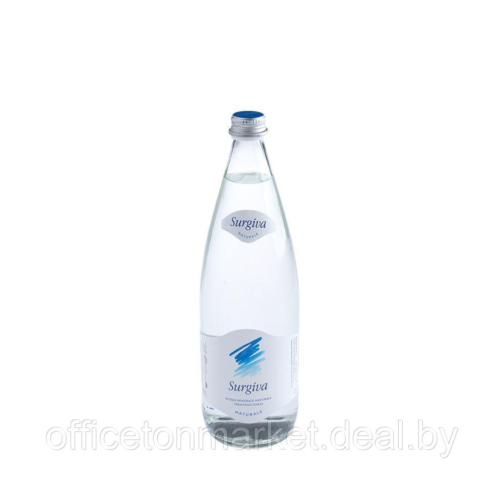 Вода минеральная природная питьевая «Surgiva», 1 л, негазированная, 12 бут/упак - фото 2 - id-p208604592