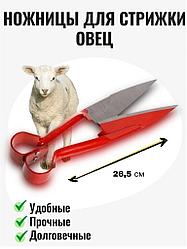 Ножницы для стрижки овец 26,5 см
