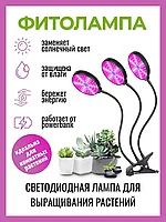Фитолампа-светильник для выращивания растений круглая LED Grow Light (3 лепестка)