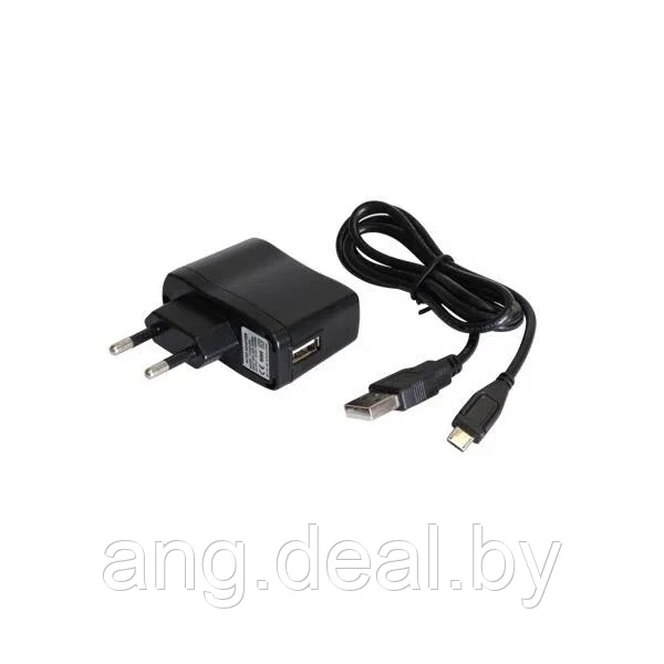 Блок питания ЗУ-5, 110-240V/5V, с кабелем 1000 мм (USB/microUSB) - фото 1 - id-p208648135