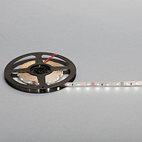 Лента светодиодная SMD2835, 60 LED/м, 4,8Вт/м, 12В, 240Лм./м 5000х8 мм, IP 20, 6000К (холодный белый)