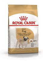 Royal Canin Pug, 500 гр