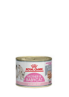 Royal Canin BABYCAT INSTINCTIVE (мусс), 195 гр