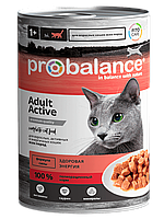 ProBalance Active Cat, 415 гр