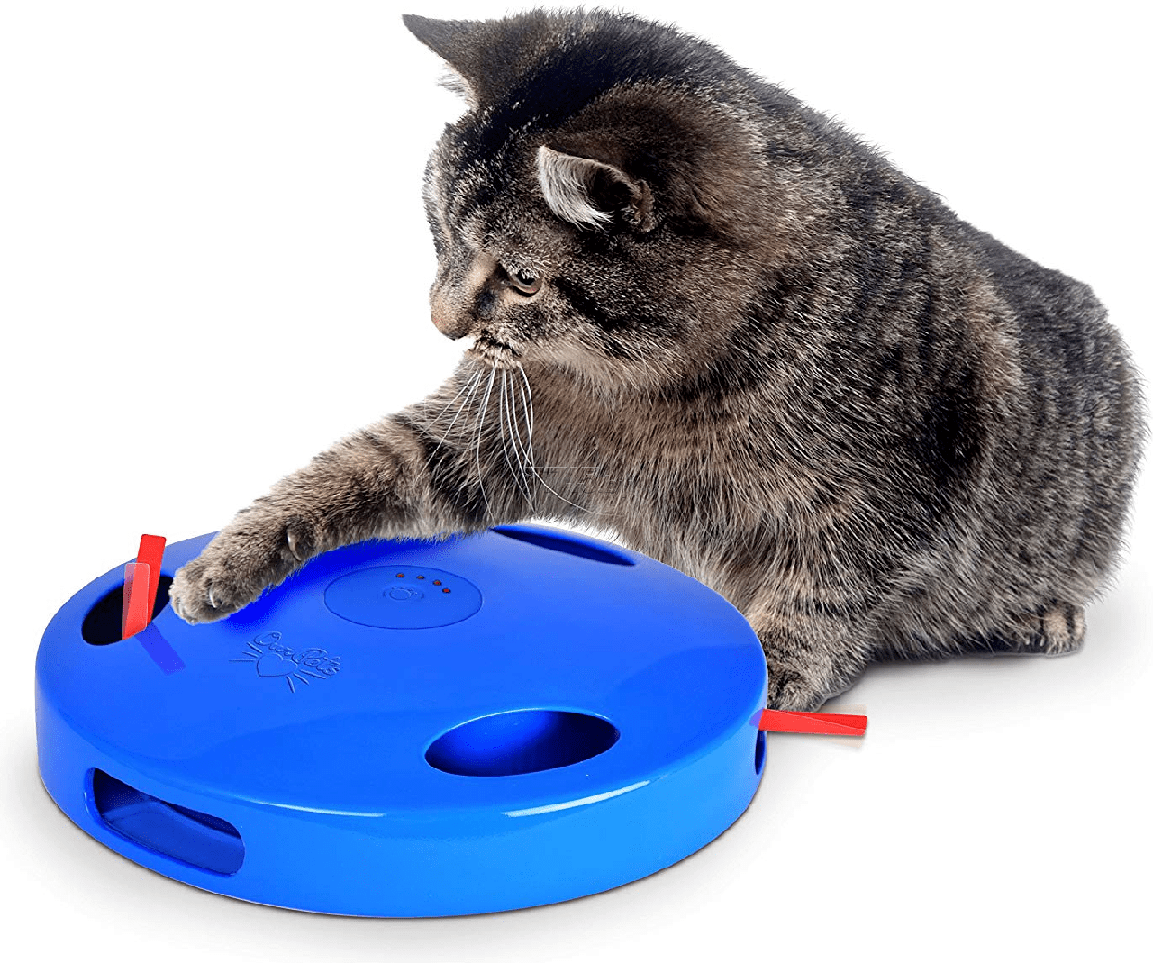 Amiplay "Tail Spin&Chase" игрушка для кошек - фото 1 - id-p208676761