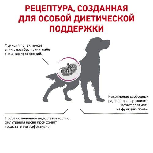 Royal Canin Early Renal Dog, 2 кг - фото 4 - id-p208677747