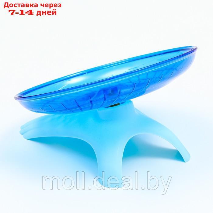 Беговая тарелка Carno для грызунов, 18 х 18 х 11 см, синяя - фото 4 - id-p208641225