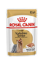 Royal Canin YORKSHIRE TERRIER (паштет), 85 гр
