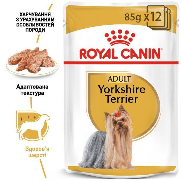 Royal Canin YORKSHIRE TERRIER (паштет), 85 гр - фото 3 - id-p208676082