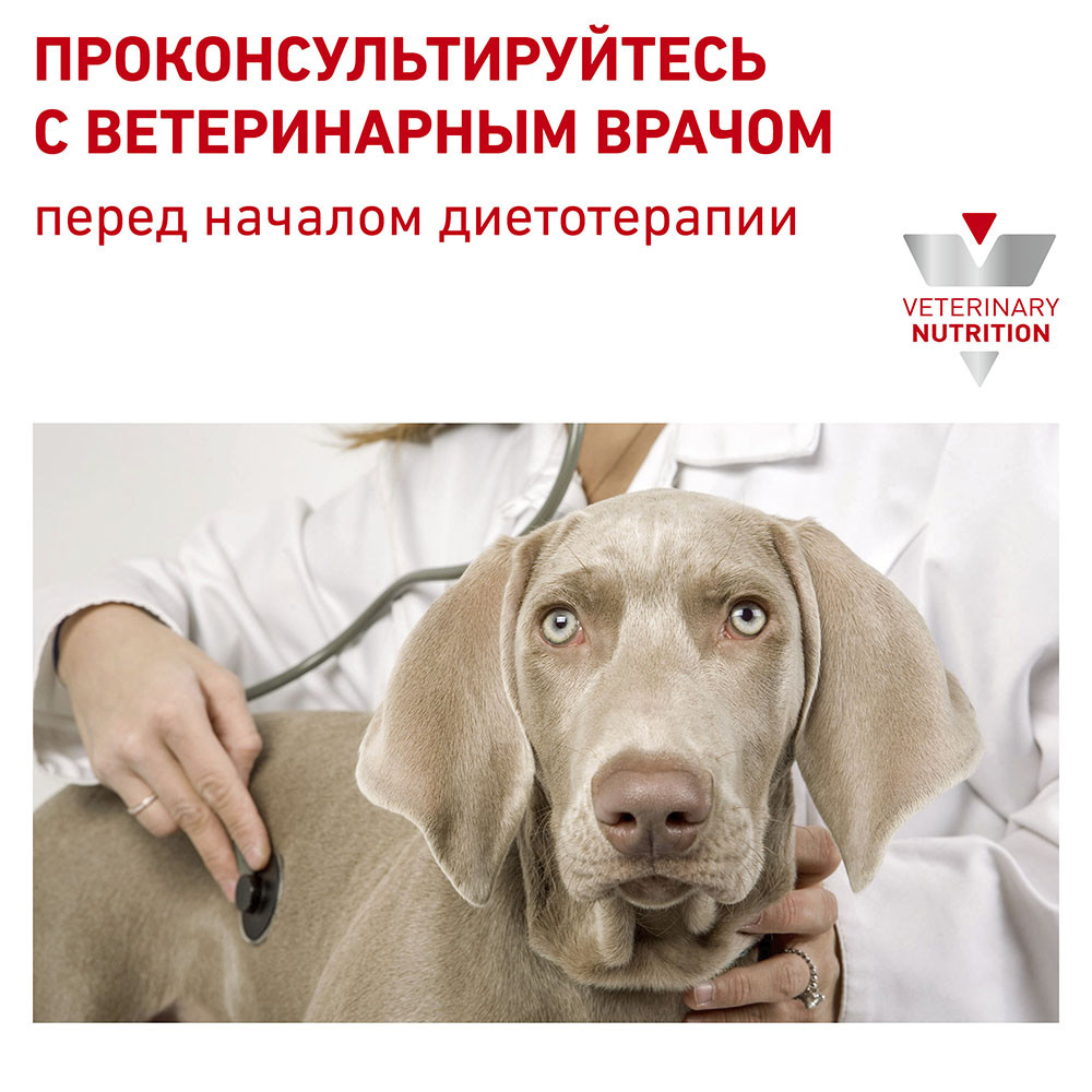 Royal Canin SENSITIVITY CONTROL с уткой (паштет), 420 гр - фото 4 - id-p208676098