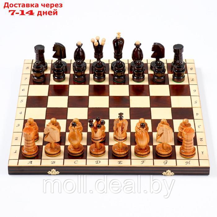 Шахматы "Королевские", 49 х 49см, король h=12 см , пешка h-6 см - фото 3 - id-p208642085