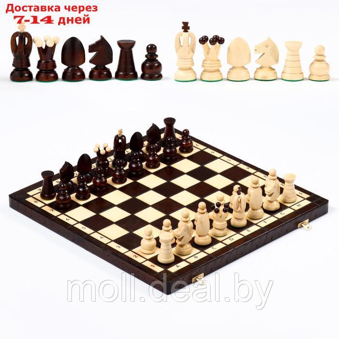 Шахматы "Королевские", 44 х 44 см, король h=8 см, пешка h-4.5 см - фото 1 - id-p208642087