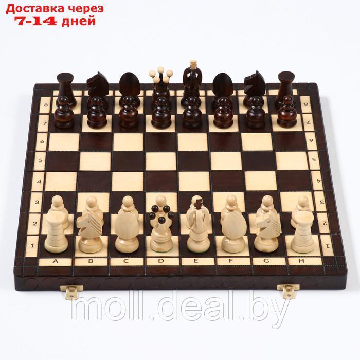 Шахматы "Королевские", 44 х 44 см, король h=8 см, пешка h-4.5 см - фото 3 - id-p208642087