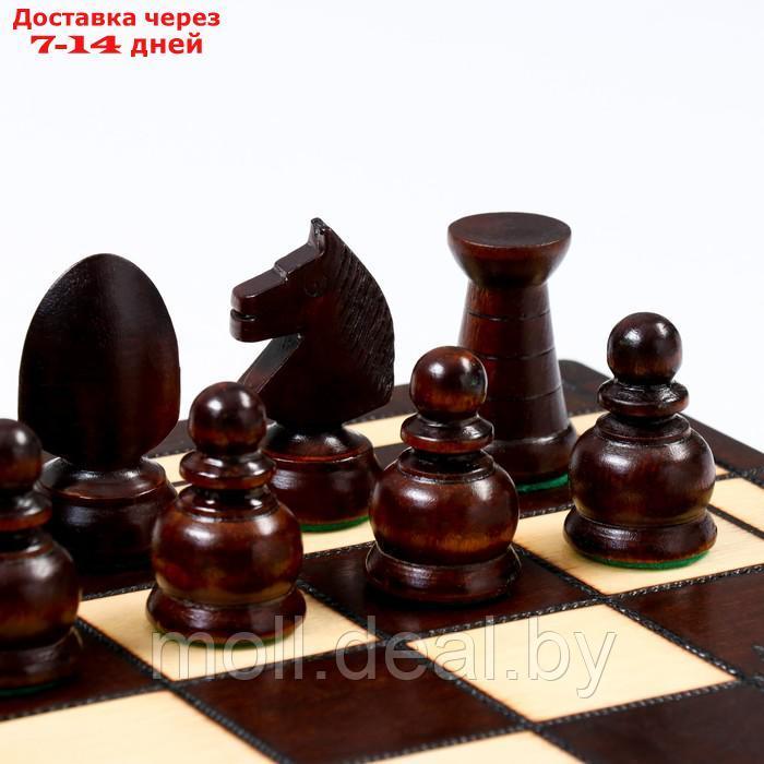 Шахматы "Королевские", 44 х 44 см, король h=8 см, пешка h-4.5 см - фото 5 - id-p208642087