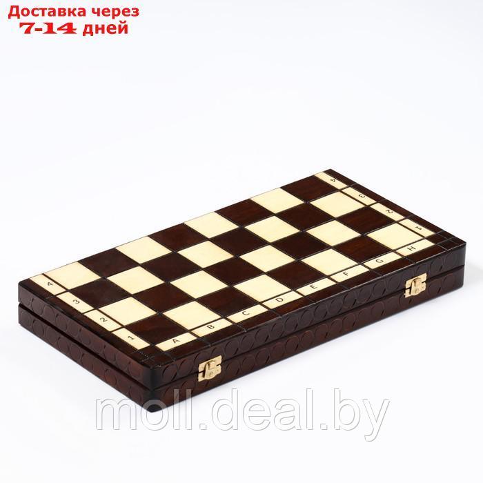Шахматы "Королевские", 44 х 44 см, король h=8 см, пешка h-4.5 см - фото 6 - id-p208642087