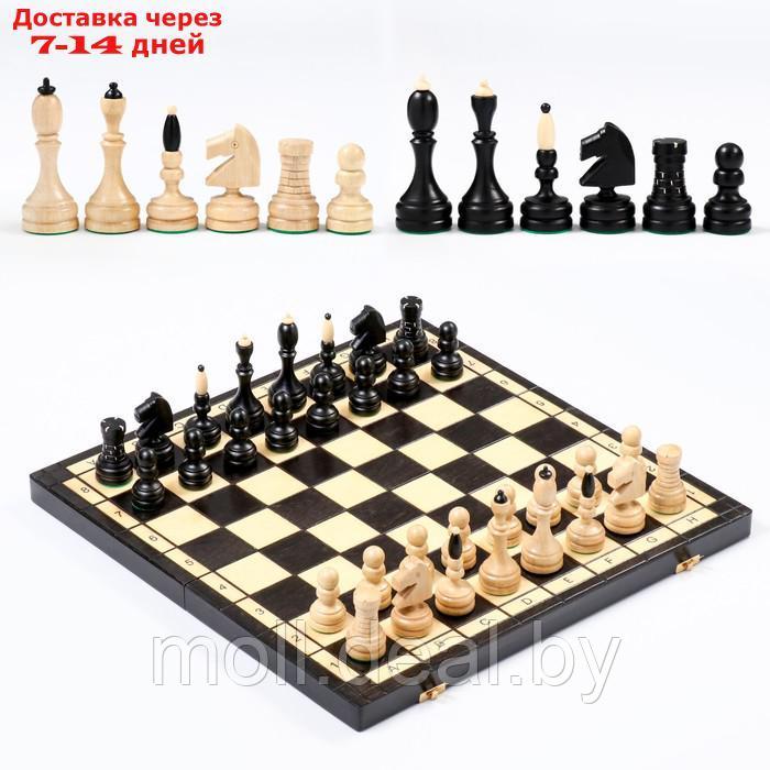 Шахматы "Элегантные", 48 х 48 см, король h=10 см - фото 1 - id-p208642147