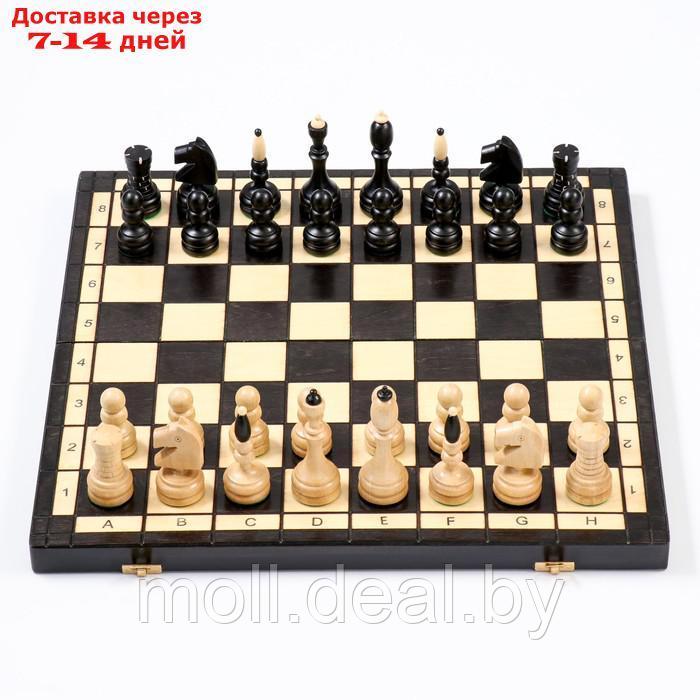 Шахматы "Элегантные", 48 х 48 см, король h=10 см - фото 3 - id-p208642147