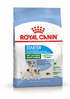Royal Canin Starter Mini Dog, 1кг