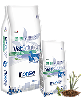 Monge VetSolution Diabetic Adult dog, 2 кг