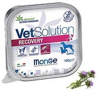 Monge VetSolution Recovery Adult dog, 150 гр