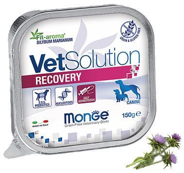 Monge VetSolution Recovery Adult dog, 150 гр - фото 1 - id-p208679028