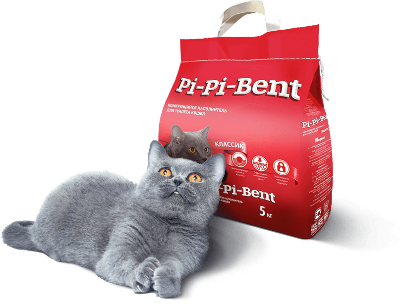 Кошачий наполнитель pi pi. Наполнитель pi-pi-bent classic. наполнитель pi-pi bent сенсация свежести 12кг 28л. наполнитель pi-pi-bent 5кг/12л комкующийся пакет. pi-pi bent наполнитель комкующийся pi pi bent сенсация свежести 10 кг 24 л.
