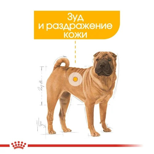 Royal Canin Dermacomfort Medium, 3 кг - фото 2 - id-p208676997
