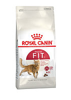 Royal Canin Fit Regular Cat, 400 гр