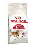 Royal Canin Fit Regular Cat, 2 кг