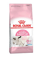 Royal Canin Mother&Babycat, 400 гр