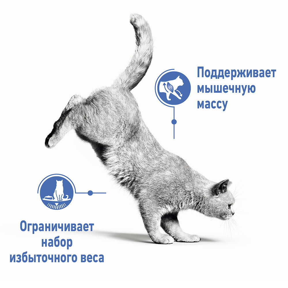 Royal Canin Light Weight Care Cat, 1,5 кг - фото 4 - id-p208677618