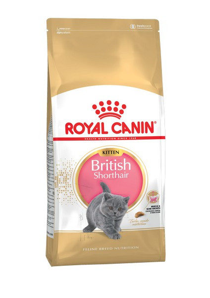 Royal Canin Kitten British Shorthair, 400 гр - фото 1 - id-p208675572