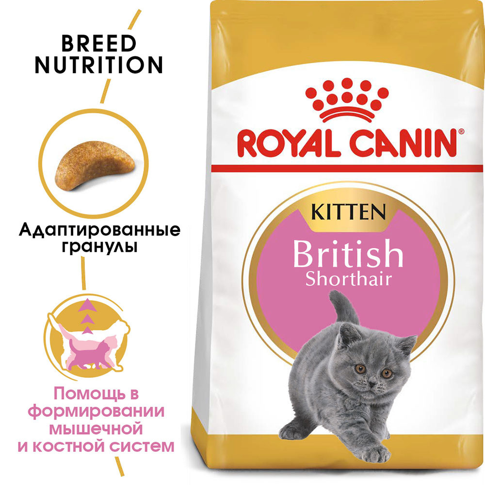 Royal Canin Kitten British Shorthair, 400 гр - фото 2 - id-p208675572