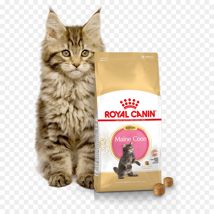 Royal Canin Kitten Maine Coon, 400 гр - фото 3 - id-p208675578