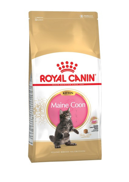 Royal Canin Kitten Maine Coon, 4 кг - фото 1 - id-p208675579