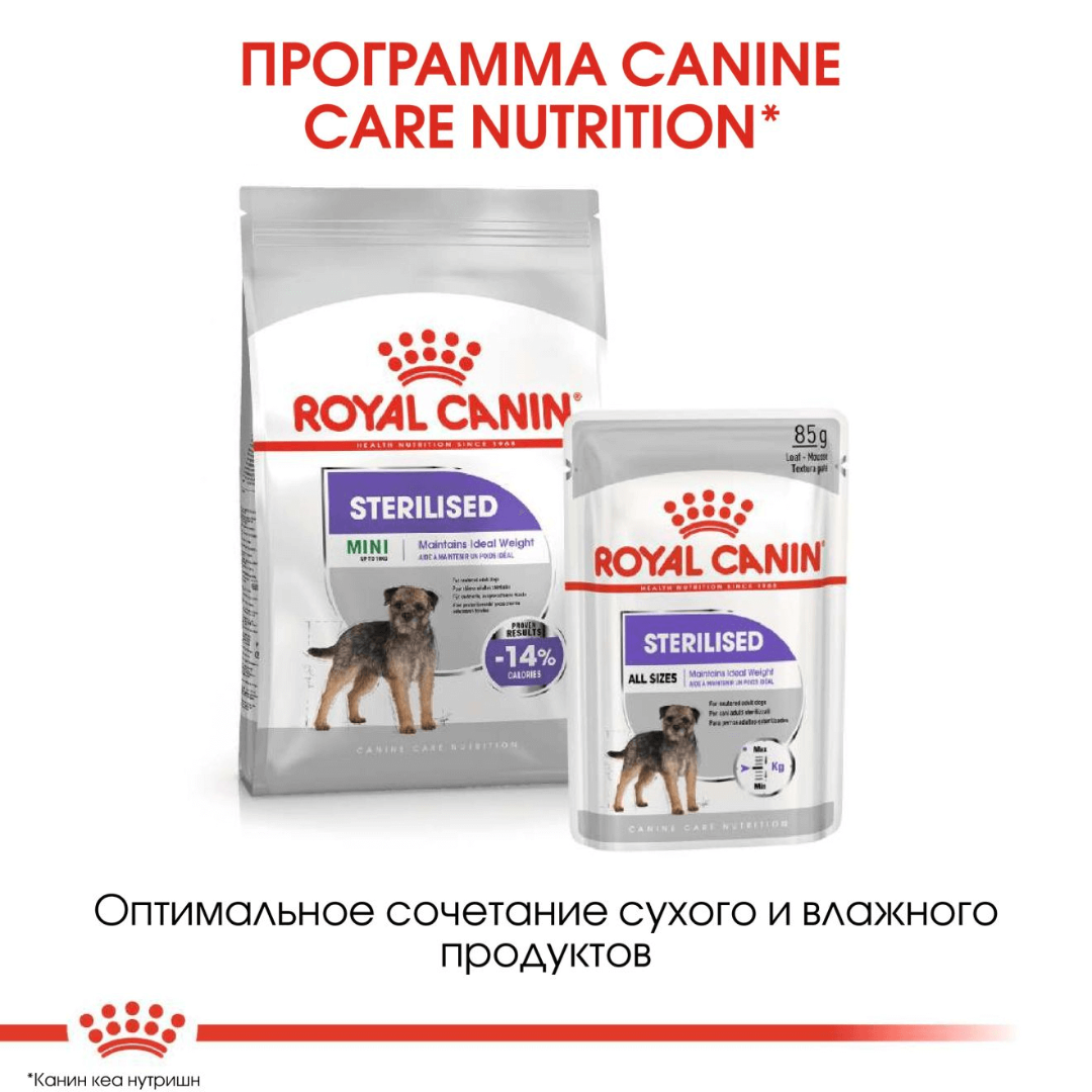 Royal Canin Sterilised Mini Dog, 3 кг - фото 4 - id-p208675616