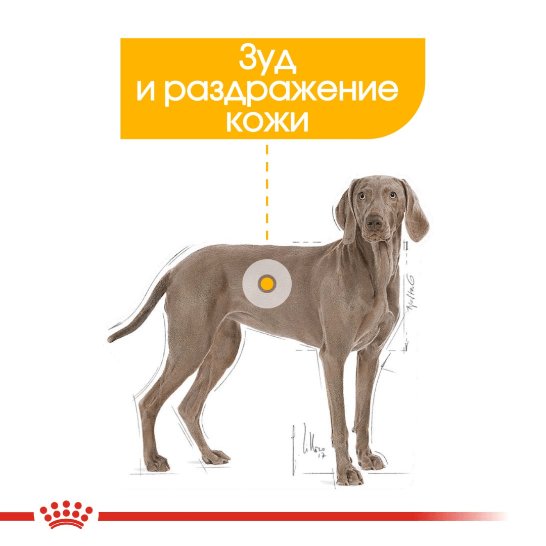 Royal Canin Dermacomfort Maxi, 10 кг - фото 4 - id-p208675631