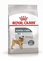 Royal Canin Dental Care Mini, 3 кг