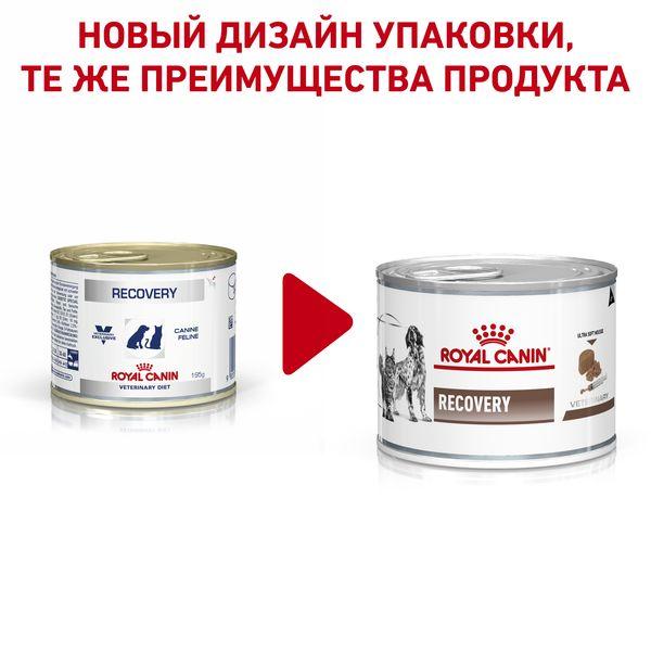 Royal Canin RECOVERY (мусс), 195 гр - фото 2 - id-p208676104