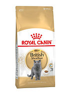 Royal Canin British Shorthair, 2 кг