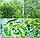 Сетка садовая от птиц 2х10м, пластик, размер ячейки 15х15см, фото 9