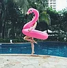 Надувной круг "Фламинго" 120 см, фото 5