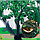 Сетка садовая 2х15м укрывная от птиц, шпалерная для огурцов и вьющихся растений/  Размер ячейки140*120 мм, фото 6