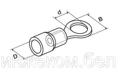 Наконечник НКИ  5.5-5 кольцо (4-6мм) (упк.100шт)   SHCET