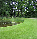 Универсальная газонная травосмесь (Universal Lawn) DSV Германия 10кг, фото 2