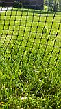 Универсальная газонная травосмесь (Universal Lawn) DSV Германия 10кг, фото 4