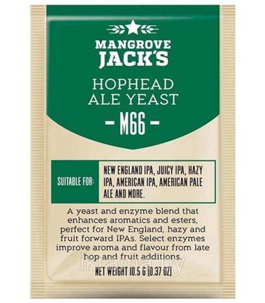 Пивные дрожжи Mangrove Jack's Hophead Ale Yeast M66, 10,5 г - фото 1 - id-p208757242