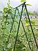 Сетка для огурцов шпалерная Шпалера садовая для винограда вьющихся растений гороха цветов 2x10 м, фото 9