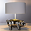Декоративная настольная лампа Arte Lamp PROCYON A4039LT-1CC, фото 2