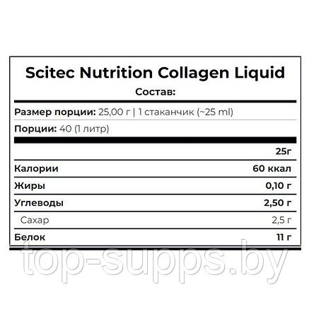 Scitec Nutrition t4YmXZZLihTOlfYOCq0mm3, фото 2